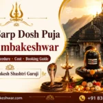 Kaal-Sarp-Dosh-Puja-in-Trimbakeshwar