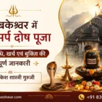 Kaal-Sarp-Dosh-Puja-in-Trimbakeshwar-Hindi